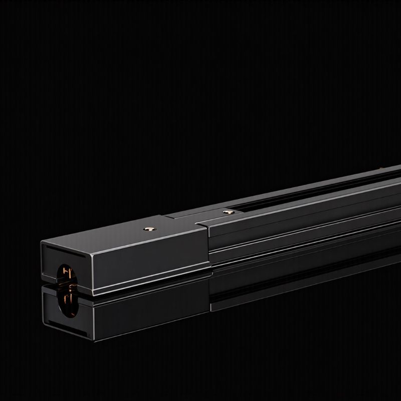 ราง 220V